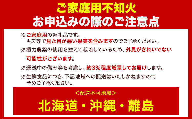 家庭用 不知火2.5kg+75g(傷み補償分)【デコポンと同品種】【訳あり】 池田鹿蔵農園@日高町（池田農園株式会社）《2月上旬-3月末頃出荷》和歌山県 日高町【配送不可地域あり】