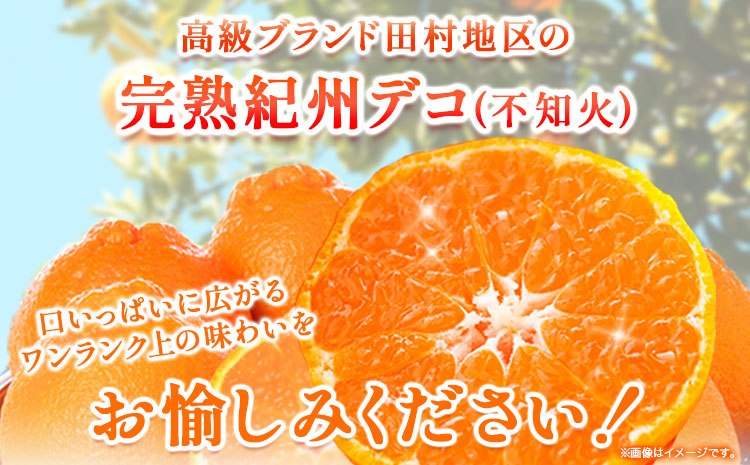 ãå
è¡äºçŽãé«çŽãã©ã³ãç°æã®å®ççŽå·ãã³(äžç¥ç«) çŽ4.5kg æ ªåŒäŒç€Ÿ éé¶Žååºã2026幎2æäžæ¬-3æäžé åºè·ãåæå±±ç æ¥é«çº ç°æå°åº äžç¥ç« ææ© æç© ãã«ãŒã ãã©ã³ãæå®(f)