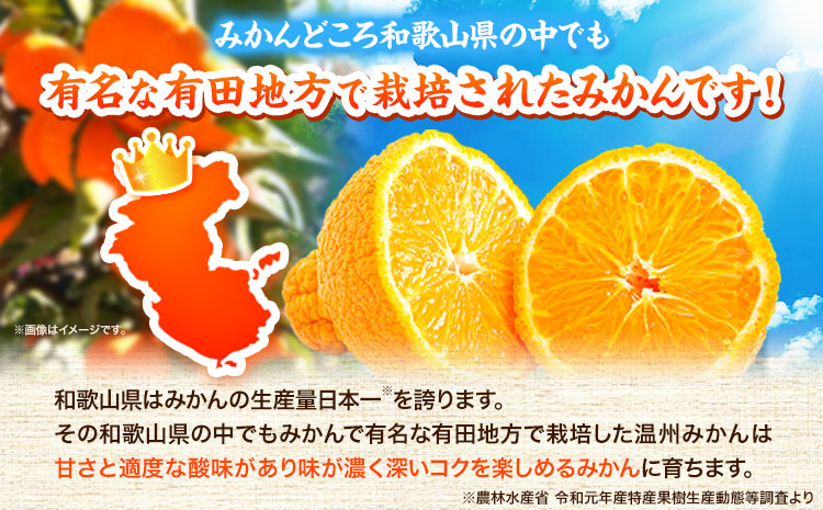 ãå
è¡äºçŽãé«çŽãã©ã³ãç°æã®å®ççŽå·ãã³(äžç¥ç«) çŽ4.5kg æ ªåŒäŒç€Ÿ éé¶Žååºã2026幎2æäžæ¬-3æäžé åºè·ãåæå±±ç æ¥é«çº ç°æå°åº äžç¥ç« ææ© æç© ãã«ãŒã ãã©ã³ãæå®(f)