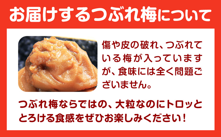 南高梅 はちみつ 梅 紀州南高梅 つぶれ 梅干し 約1.2kg 有限会社プラム《30日以内に出荷予定(土日祝除く)》和歌山県 日高町 送料無料 梅 うめ ウメ 南高梅 つぶれ梅 蜂蜜 紀州 梅干し訳あり梅干しつぶれ梅干しはちみつ梅干しウメボシ梅干し訳あり梅干し紀州梅干し蜂蜜梅干し