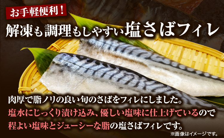 塩さば フィレ 24枚入 (真空パック入)  株式会社魚鶴商店《30日以内に出荷予定(土日祝除く)》 和歌山県 日高町 さば 塩サバ 鯖  ごはんのお供 おつまみ にも最適！ 