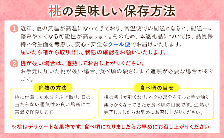 【先行予約】和歌山の厳選白桃【白鳳・清水白桃・川中島白桃 等】化粧箱入り 約2kg 池田鹿蔵農園《7月上旬-8月中旬頃出荷》和歌山県 日高町 厳選 白桃 和歌山県産 白鳳 清水白桃 川中島白桃 桃 もも 果物 【配送不可地域あり】