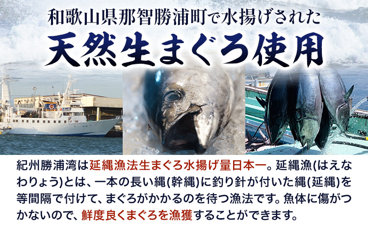 那智勝浦直送 天然もちもち生ビン長まぐろとまぐろたたきセット 2人前 株式会社魚鶴商店《30日以内に出荷予定(土日祝除く)》 和歌山県 日高町 まぐろ 魚 マグロ たたき ねぎとろ 海鮮 鮪 魚介 さかな ビン長 ビン長まぐろ まぐろのたたき