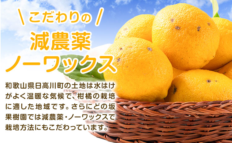 ã¬ã¢ã³ èš³ãã åœç£ ã¬ã¢ã³ 5kg (ãµã€ãºæ··å) ããŒã¯ãã¯ã¹ æžèŸ²è¬ ã©ã®åææš¹åã2026幎2æäžæ¬-5ææ«é åºè·ã åæå±±ç æ¥é«çº ã¬ã¢ã³ ããã æªžæª¬ å®¶åºç𠿬 æ°é®® æç© ææ© ãã«ãŒã èš³ãã 倧容é Lemon lemon éæç¡æ