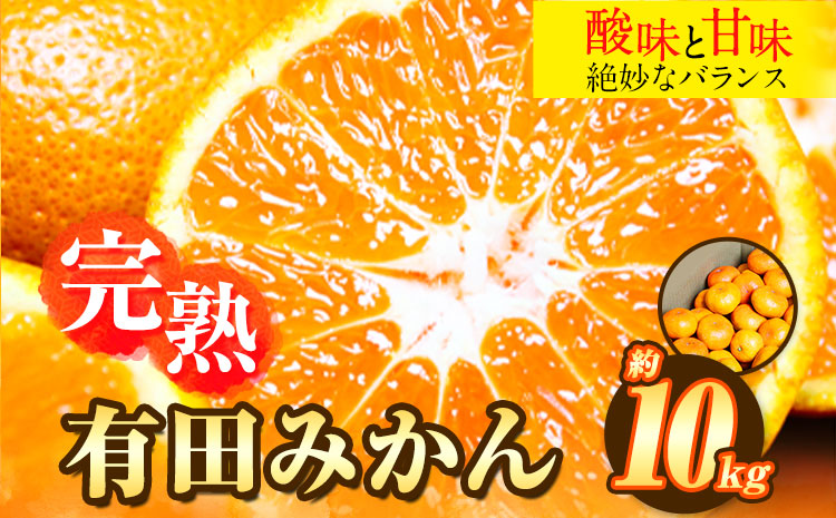 ＜先行予約＞完熟有田みかん 10kg 株式会社魚鶴商店《2025年11月下旬-2026年2月上旬頃出荷》和歌山県 日高町 有田みかん ミカン 蜜柑 フルーツ 柑橘