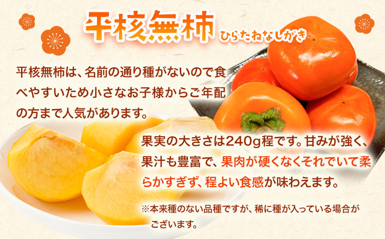 秀品 和歌山秋の味覚平核無柿(ひらたねなしがき)約4kg 化粧箱入 株式会社魚鶴商店《2025年10月上旬-11月上旬頃出荷》 和歌山県 日高町 柿 カキ かき たねなし ジューシー フルーツ