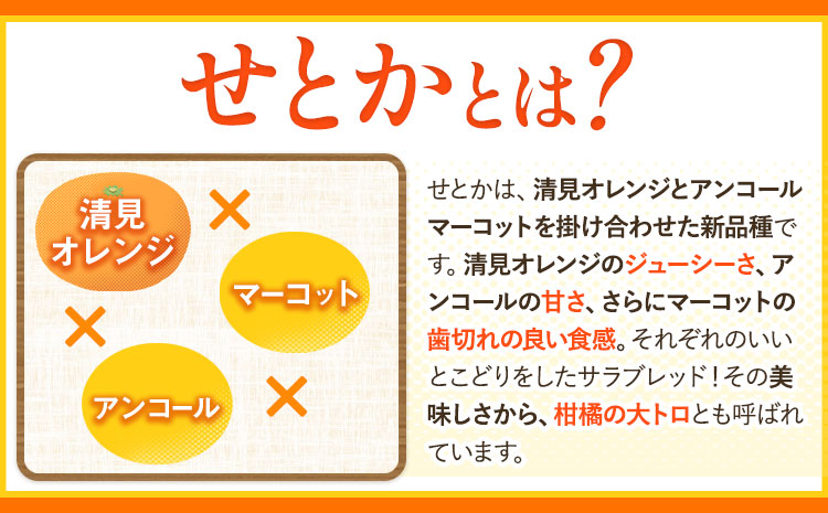 一度は食べていただきたい! 有田産のせとか 青秀以上 約4〜5kg （サイズおまかせ） 厳選館 《2025年2月中旬-3月下旬頃出荷》 和歌山県 日高町 せとか 柑橘 有田産 みかん フルーツ 果物 くだもの