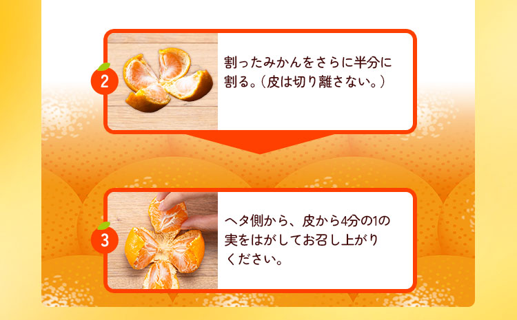 【先行予約】みかん ご 家庭用 完熟 有田みかん 約 10kg 有田マルシェ《12月上旬-12月下旬頃出荷》 和歌山県 日高町 みかん 有田みかん 柑橘 フルーツ 完熟 送料無料 訳あり みかん 蜜柑 ミカン 柑橘