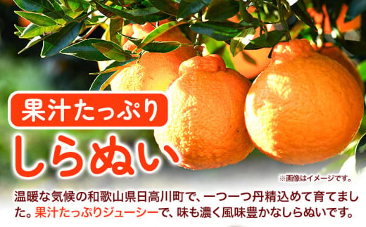 訳あり 不知火 ( デコポンと同品種 ) しらぬい 約5kg (M～5Lサイズ) どの坂果樹園《2027年2月上旬-4月上旬頃出荷》 和歌山県 日高町 しらぬい でこぽん 旬 果物 フルーツ 柑橘 訳あり不知火 訳ありデコポン 訳ありしらぬい 送料無料