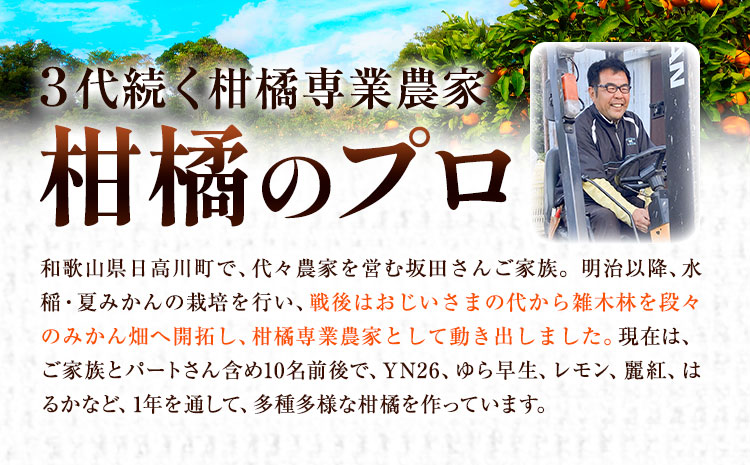 【先行予約】早生 みかん 約 5kg (2S～Lサイズ) どの坂果樹園《12月上旬-2027年2月上旬頃出荷》 和歌山県 日高町 みかん 早生 旬 柑橘 フルーツ 果物 蜜柑 ミカン 2026年出荷出荷
