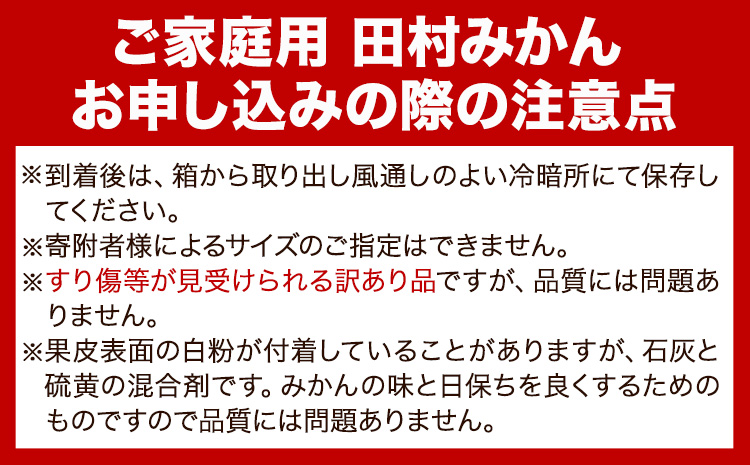 先行予約【ご家庭用 訳あり】田村みかん 10kg 株式会社魚鶴商店《2025年11月下旬-2026年2月上旬頃出荷》 和歌山県 日高町  柑橘 フルーツ 