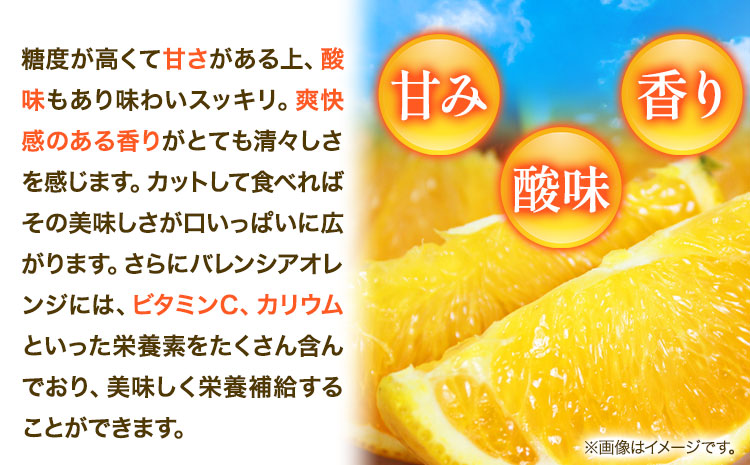 【先行予約】【ご家庭用訳あり】希少な国産バレンシアオレンジ 約7kg 株式会社魚鶴商店《2025年6月下旬-7月上旬出荷》和歌山県 日高町