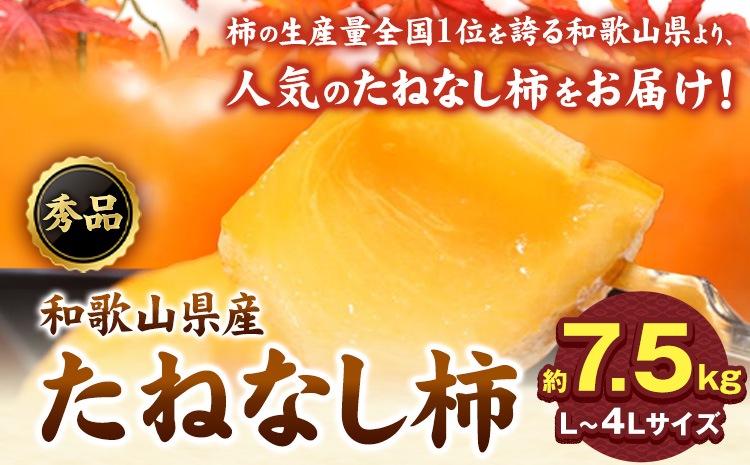 ◆先行予約◆和歌山産たねなし柿（L〜4Lサイズおまかせ）約7.5kg・秀品 《2025年10月上旬-11月中旬頃出荷》 和歌山県 日高町 かき 種なし