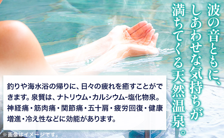 【温泉館「海の里」みちしおの湯】利用券　25枚組 《30日以内に出荷予定(土日祝除く)》和歌山県  日高町 日高町役場 温泉 チケット 