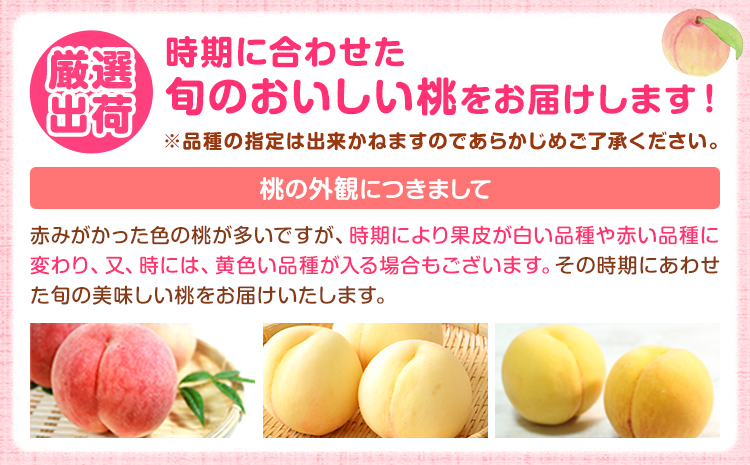 ãå
è¡äºçŽãåæå±±ã®å³éžçœæ¡ãçœé³³ã»æž
æ°Žçœæ¡ã»å·äžå³¶çœæ¡ çãåç²§ç®±å
¥ã çŽ4kg æ± ç°é¹¿èµèŸ²åã7æäžæ¬-8æäžæ¬é åºè·ãåæå±±ç æ¥é«çº å³éž çœæ¡ åæå±±çç£ çœé³³ æž
æ°Žçœæ¡ å·äžå³¶çœæ¡ æ¡ ãã æç© ãé
éäžå¯å°åããã