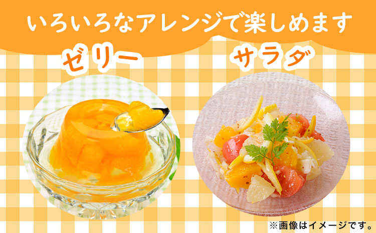 【先行予約】果肉プリプリ♪ 完熟紀州デコ(不知火) 約3kg 株式会社魚鶴《2026年2月下旬-3月中旬頃出荷》和歌山県 日高町 不知火 柑橘 果物 フルーツ(f)