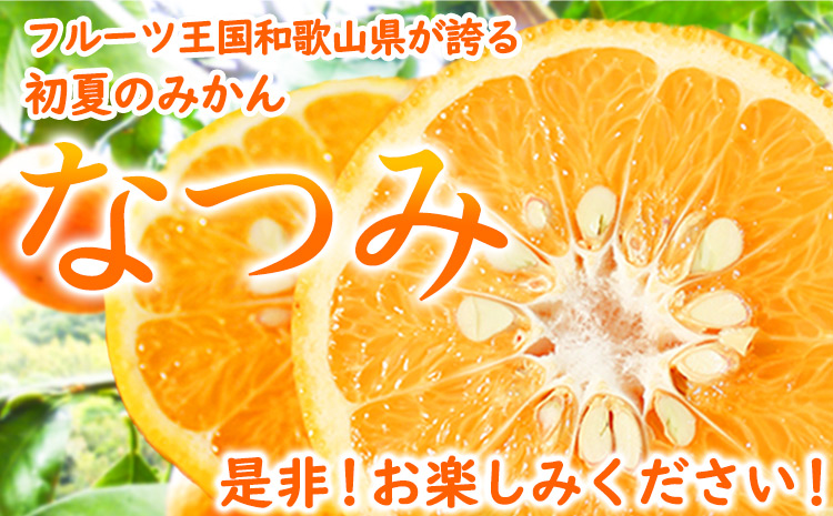 ＜先行予約＞初夏のみかん なつみ約5kg 株式会社 魚鶴商店《2025年4中旬-5上旬頃出荷》 和歌山県 日高町 みかん なつみ 南津海 柑橘 果物 フルーツ 送料無料