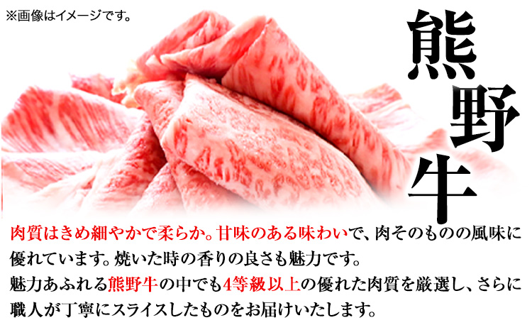 熊野牛 A4 以上 ヒレシャトーブリアン ステーキ 200g 霜降り ロース スライス 200g 株式会社魚鶴商店《30日以内に出荷予定(土日祝除く)》 和歌山県 日高町 熊野牛 黒毛和牛 A4等級以上 赤身 こま切れ(F)