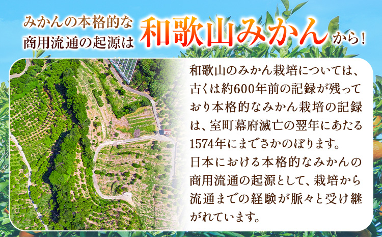 【訳あり・ご家庭用】和歌山有田みかん 5kg（S〜Lサイズいずれかお届け） 厳選館 《11月中旬-2月上旬頃出荷予定》 和歌山県 日高町 みかん 有田みかん 柑橘 フルーツ