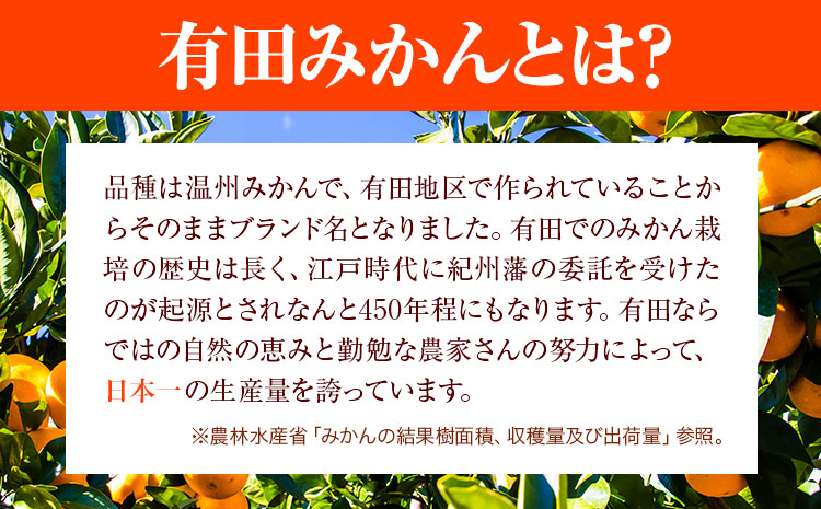 【先行予約】みかん ご 家庭用 完熟 有田みかん 約 10kg 有田マルシェ《11月上旬-11月下旬頃出荷》 和歌山県 日高町 みかん 有田みかん 柑橘 フルーツ 完熟 送料無料 訳あり みかん 蜜柑 ミカン 柑橘