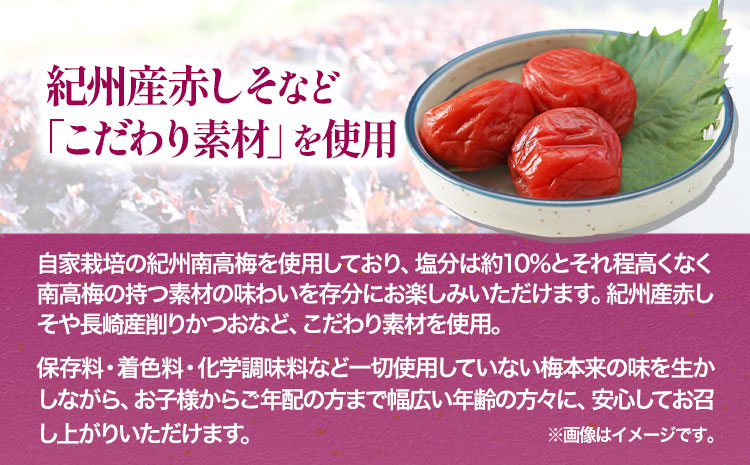 紀州南高梅使用 しそ仕込み完熟梅干し 800g 厳選館《90日以内に出荷予定(土日祝除く)》和歌山県 日高町 梅干し しそ仕込み 紀州南高梅 送料無料