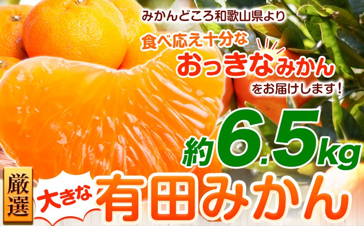 ＜先行予約＞厳選　大きな有田みかん6.5kg+195g（傷み補償分）【光センサー選果】池田鹿蔵農園@日高町（池田農園株式会社）《11月中旬-2月中旬頃出荷》和歌山県 日高町【配送不可地域あり】