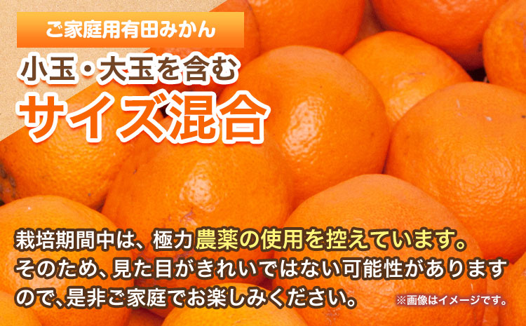 ＜先行予約＞家庭用 超熟 有田 みかん 2.5kg+75g（傷み補償分）【わけあり・訳あり】【光センサー選果】池田鹿蔵農園@日高町（池田農園株式会社）《11月上旬-12月末頃出荷》和歌山県 日高町【配送不可地域あり】みかん 有田みかん