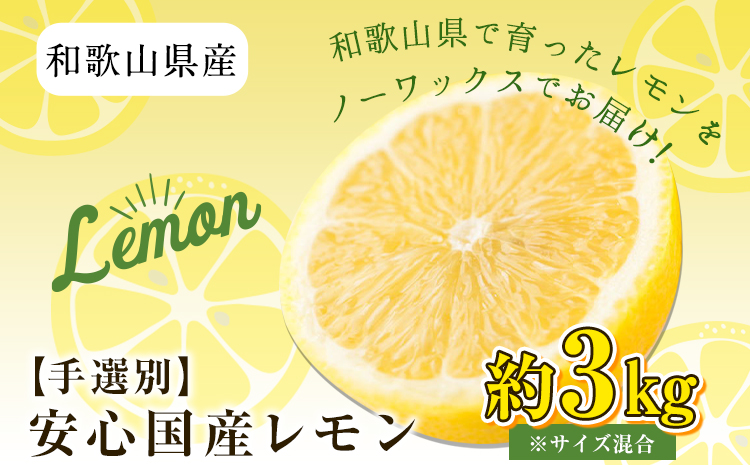 和歌山県産 の 安心 国産 レモン 約 3kg (サイズ混合またはL・2Lサイズおまかせ) 厳選館 《2024年11月上旬-12月中旬頃出荷》 和歌山県 日高町 レモン