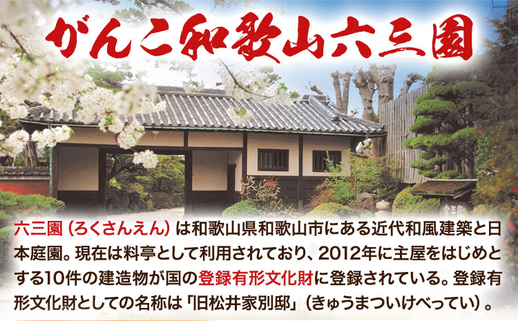 がんこ和歌山六三園の紀州 シャーベット セット《90日以内に出荷予定(土日祝除く)》 和歌山県 日高町 紀州 シャーベット 温州みかん 梅酒