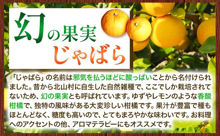 じゃばらジャム 140g×2個《90日以内に出荷予定(土日祝除く)》 和歌山県 日高町 邪払 柑橘 フルーツ じゃばらいず北山 ジャム