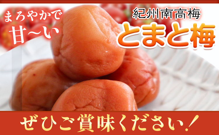 南高梅 tomato-ume とまと 梅 100g×4 有限会社プラム《30日以内に出荷予定(土日祝除く)》和歌山県 日高町 送料無料 梅 うめ ウメ 南高梅 紀州 トマト梅 送料無料