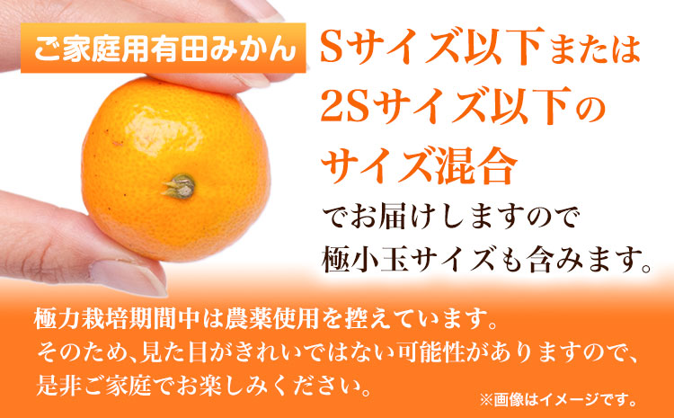 ＜先行予約＞家庭用　小玉な有田みかん3kg+90g（傷み補償分）【わけあり・訳あり】【光センサー選果】 池田鹿蔵農園@日高町（池田農園株式会社）《11月上旬-12月末頃出荷》和歌山県 日高町【配送不可地域あり】