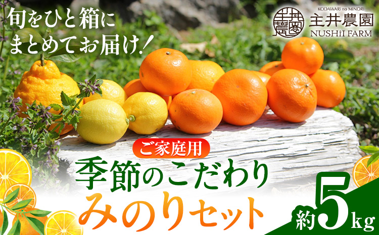主井農園の季節のこだわりみのりセット ご家庭用 約 5kg 主井農園《2月中旬-4月下旬頃出荷予定》 和歌山県 日高町 柑橘 みかん オレンジ せとか 清見オレンジ たまみ 不知火 デコポン 八朔 レモン 果物 詰合せ 訳あり 送料無料