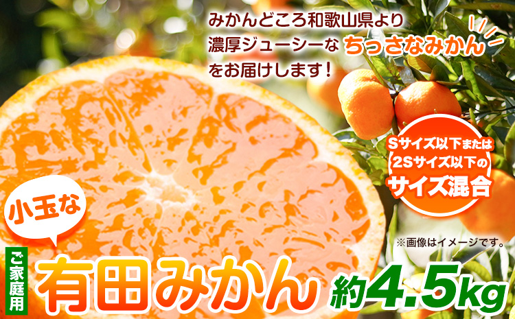 ＜先行予約＞家庭用　小玉な有田みかん4.5kg+135g（傷み補償分）【わけあり・訳あり】【光センサー選果】池田鹿蔵農園@日高町（池田農園株式会社）《11月上旬-12月末頃出荷》和歌山県 日高町【配送不可地域あり】