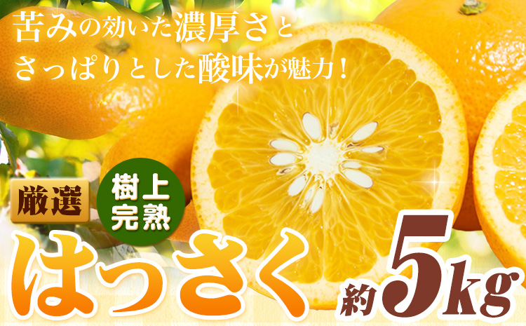 厳選 樹上完熟 はっさく 八朔 みかん 5kg＋250g 傷み補償分 池田鹿蔵農園 @日高町《4月上旬-5月末頃出荷》和歌山県 日高町 送料無料 はっさくみかん ハッサク 厳選八朔みかん【配送不可地域あり】