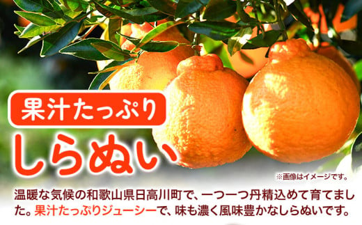 不知火 ( デコポンと同品種 ) しらぬい 約10kg (L～5Lサイズ) どの坂果樹園《2025年2月中旬-4月上旬頃出荷》 和歌山県 日高町 しらぬい 不知火 デコポン でこぽん 旬 果物 フルーツ 柑橘 産地直送 送料無料