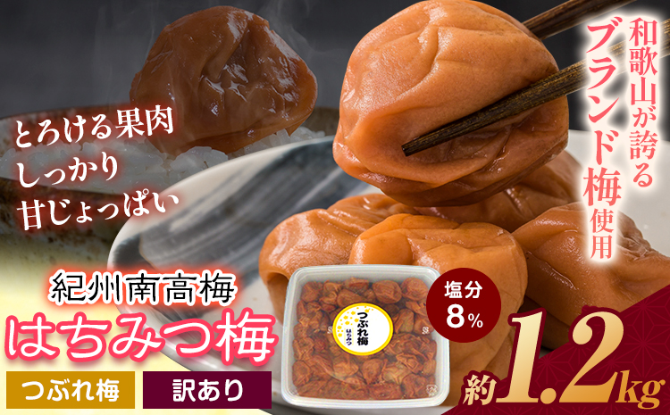 南高梅 はちみつ 梅 紀州南高梅 つぶれ 梅干し 約1.2kg 有限会社プラム[30日以内に出荷予定(土日祝除く)]和歌山県 日高町 送料無料 梅 うめ ウメ 南高梅 つぶれ梅 蜂蜜 紀州 梅干し訳あり梅干しつぶれ梅干しはちみつ梅干しウメボシ梅干し訳あり梅干し紀州梅干し蜂蜜梅干し