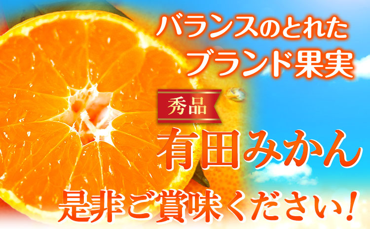【先行予約】有田みかん 秀品 5kg(サイズおまかせ)とち亀物産 紀伊国屋文左衛門本舗《2024年10月下旬-1月中旬頃出荷予定》和歌山県 日高町 有田みかん みかん 果物 フルーツ ブランド果実