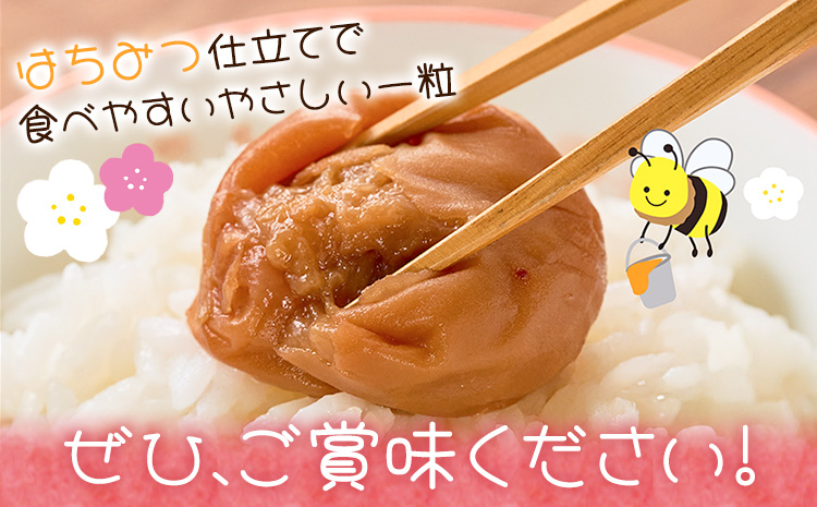 紀州南高梅 つぶれ梅 はちみつ漬 塩分8％ 1パック400g×3パック 株式会社味季屋《30日以内に出荷予定(土日祝除く)》和歌山県 日高町 梅 梅干し 南高梅 はちみつ梅