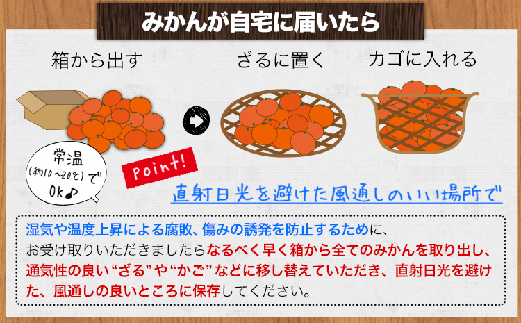 訳あり 和歌山みかん  9.5kg＋0.5kg(傷み補償分) 計10kg サイズ混合 和歌山県産 ご家庭用 福田農園 《11月中旬-2月中旬頃出荷》 和歌山県 日高町 送料無料 みかん 柑橘 柑橘類 ミカン 訳ありみかん 選べる 内容量