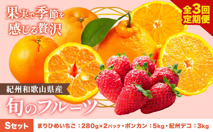 [発送月固定定期便]紀州和歌山県産 旬のフルーツ (いちご・ポンカン・紀州デコ) 全3回 Sセット 魚鶴商店[1月上旬-3月下旬頃出荷] 和歌山県 日高町 まりひめ いちご ポンカン 紀州デコ 不知火 定期便 フルーツ 果物 定期便