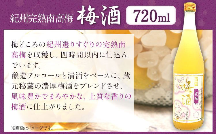 紀州完熟南高梅 ねりうめ酒 完熟梅酒 飲み比べセット 720ml×2本 厳選館 《90日以内に出荷予定(土日祝除く)》 和歌山県 日高町 酒 さけ お酒 飲み比べ 梅酒 1440ml