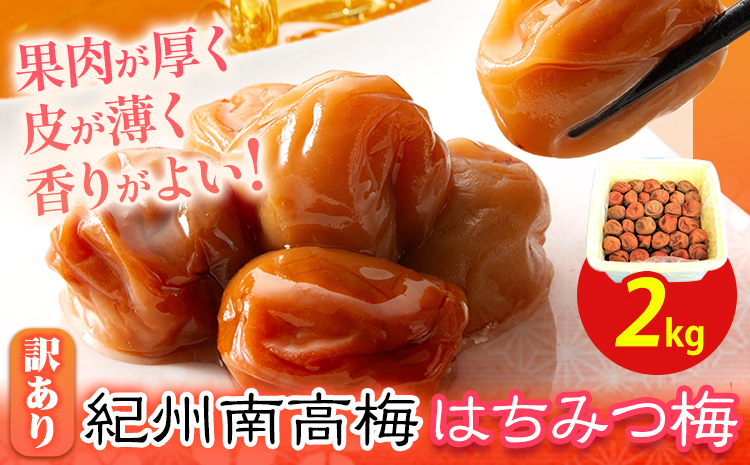 南高梅 はちみつ 梅 わけあり 紀州南高梅 はちみつ梅 約2kg 有限会社プラム《30日以内に出荷予定(土日祝除く)》和歌山県 日高町 送料無料 梅 うめ ウメ 南高梅 蜂蜜 紀州 訳あり 送料無料