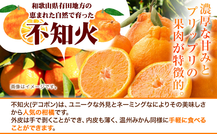 å³éž äžç¥ç«5kg+250gïŒå·ã¿è£ååïŒããã³ãã³ãšååçš®ã»äººæ°ã®æ¥ã¿ããããå
ã»ã³ãµãŒã§é£ã¹é åºè·ã æ± ç°é¹¿èµèŸ²å@æ¥é«çºïŒæ± ç°èŸ²åæ ªåŒäŒç€ŸïŒã2æäžæ¬-3ææ«é åºè·ãåæå±±ç æ¥é«çºãé
éäžå¯å°åããã