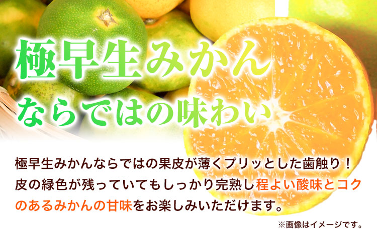 紀州和歌山有田産 ゆら早生みかん 約10kg 株式会社魚鶴商店《2025年10月上旬-11月上旬頃出荷》 和歌山県 日高町 みかん 早生 柑橘 蜜柑 ミカン