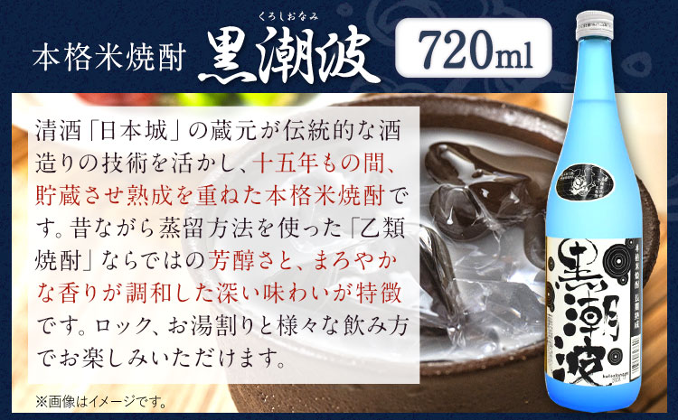 本格米焼酎 黒潮波 （くろしおなみ） と 紀州完熟南高梅 梅酒 720ml×各1本 2本セット 厳選館《90日以内に出荷予定(土日祝除く)》 和歌山県 日高町 酒 梅酒 焼酎 米焼酎 果実酒