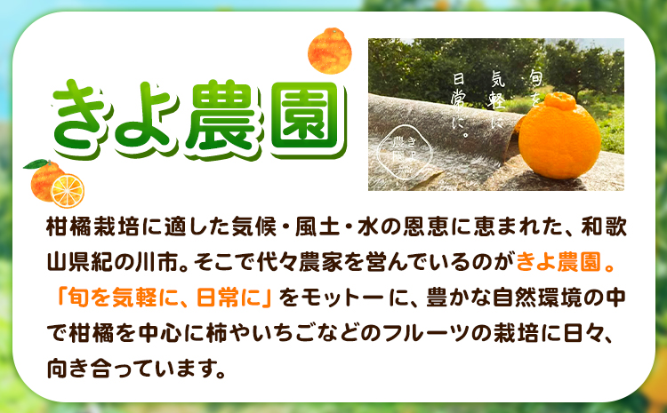 露地栽培の甘い 不知火 (デコ) 6玉 約1.5kg きよ農園《2025年2月中旬-3月末頃出荷(土日祝除く)》和歌山県 日高町 柑橘 不知火 しらぬい デコポン と同品種 フルーツ 果物 スイーツくだもの