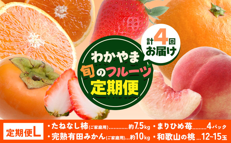 わかやま旬の フルーツ 定期便 [全4回]内容量 L 有田マルシェ[発送月固定・全4回出荷] 和歌山県 日高町 苺 いちご 柑橘 オレンジ 小玉 みかん 有田 みかん たねなし柿 柿 桃 モモ もも 果物 定期 柑橘 果物[配送不可地域あり]