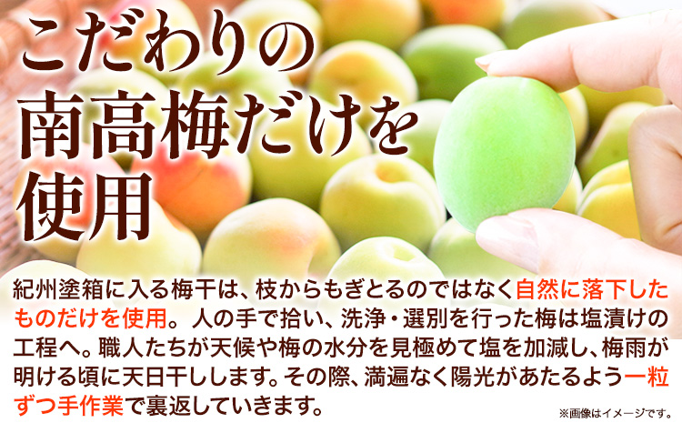 高級南高梅 白干梅 500g 網代模様仕上紀州塗箱入り 澤株式会社《90日以内に出荷予定(土日祝除く)》和歌山県 日高町 梅干し 白干梅 紀州南高梅 紀州塗 送料無料