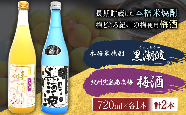 本格米焼酎 黒潮波 （くろしおなみ） と 紀州完熟南高梅 梅酒 720ml×各